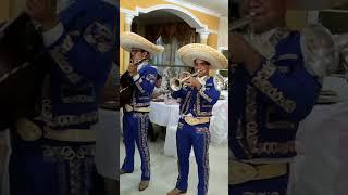 Cielito lindo - Mariachi Soberano