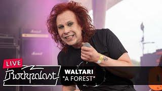 Waltari – "A Forest" live, Rock Hard Festival 2024 | Rockpalast