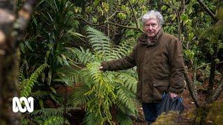 Tree hunter grows the world's rarest plants in a rare tree garden | ABC Australia