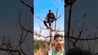 super man cutting tricks #agriculture #farmer #farming #tech #prajapati #satisfying #nature #garden