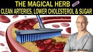 THE MAGICAL HERB THAT CLEANS ARTERIES, LOWERS CHOLESTEROL & SUGAR - Dr Alan Mandell, DC