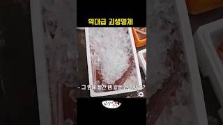 심해 괴어도 식사감일뿐..
