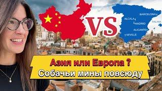 Что мы выберем Азию или Европу? Бездомные, собачьи мины или железный занавес? #spain #china