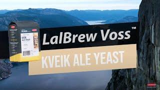 LalBrew Voss Kveik Ale Yeast