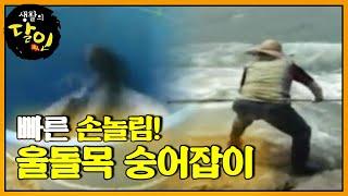 울돌목 숭어잡이 달인ㅣ생활의 달인(A Master Of Living)ㅣSBS Story