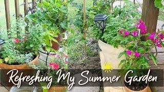 SUMMER GARDEN REFRESH | WEEDING FLOWER BEDS & PLANTING PERENNIALS | ROBIN LANE LOWE