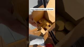 Путешествуем вместе. Мой специальный корреспондент из Австрии#жизньвчехии #эмиграция #travel#отдых