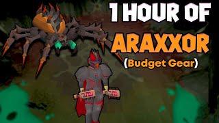 1 Hour of Araxxor Budget Gear (OSRS Araxxor Examples)