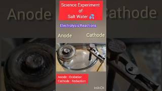 Electrolysis reaction of salty water |Graphite rod vs. Iron nail | ️#electrolysis #shortsfeed #yt