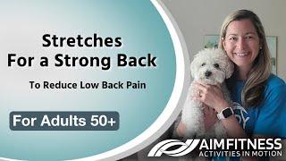 Stretches for Your Lower Back | Back Exercises | Reduce Back Pain | For Seniors & Adults 50+