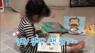 얼렁 뚱땅 책 읽기