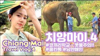 태국 치앙마이 여행 브이로그.4 / Chiang Mai Travel Vlog.4 #코끼리학교 #쿰칸톡 #님만해민