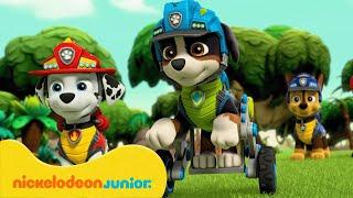 PAW Patrol : La Pat' Patrouille | Aventures de dinosaures avec Rex ! | Nickelodeon Jr. France