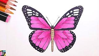 How to draw a realistic butterfly | Butterfly drawing tutorial | Easy butterfly drawing