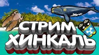 Стрим РР3 Ловля Кита, Офф тур Фестиваль лосося и Камчатские Киты