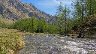 4K Val Sambuco Ticino SWITZERLAND アルプス山脈 aerialview