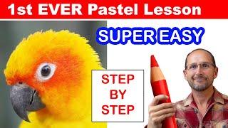 Start Drawing Animals ! COMPLETE Beginner Pastel Pencil Lesson