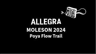 POV: Poya Flow Trail in Moleson | ALLEGRA 2024