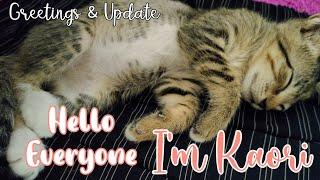 RESCUED CATS | CUTE KAORI SO PLAYFUL | Bossbabe Cafe