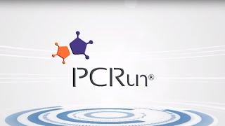 1  PCRun Introduction