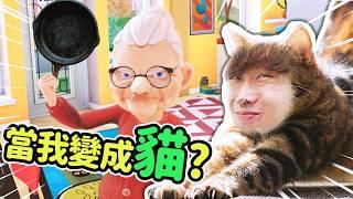 【危險動作️貓勿模仿】看過貓「千年殺」老奶奶嗎? I AM CAT!