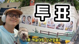 ️강아지도 투표가 가능하다고!? 21대 대통령 선거 투표하는 법