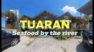 Tuaran Adventures: River Cruise, Seafood Feast, Horse Riding & ATV Thrills! - Part 1 Kota Kinabalu