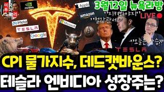 미국주식/CPI소비자물가지수/전기차 인공지능 양자 반도체/테슬라 엔비디아 구글 애플 아마존 메타 마이크로소프트 팔란티어 아이온큐 SMCI 크록스 TSMC $tsla #tesla