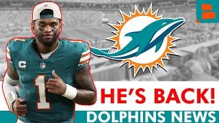 Dolphins FINALLY Receive The News They’ve Been Waiting For…