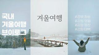 VLOG :: 삿포로 안부러운 겨울 1박2일 국내여행기️ 청송얼음골, 한반도지형,섶다리마을,젊은달와이파크,만항재,대관령양떼목장,실버벨교회,몽토랑산양목장