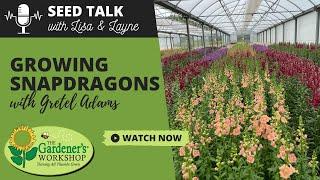 Seed Talk #130 - Growing Snapdragons with Gretel Adams