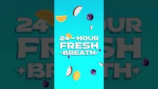 Closeup 24H Fresh Breath