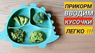 ПРИКОРМ. Как правильно вводить кусочки. Варим брокколи для малыша.