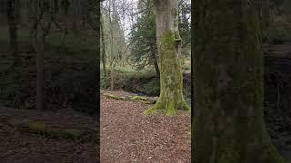 DANGEROUS!!! NOW CLOSED bunker closed finally by Midlothian Council