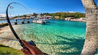 Action-Packed Fishing in Crystal Clear Waters 