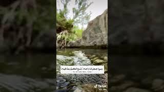صوت ترتاح له النفوس ..