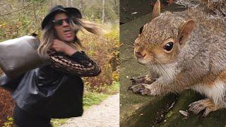 Squirrel Reaction To Weird Man Behavior