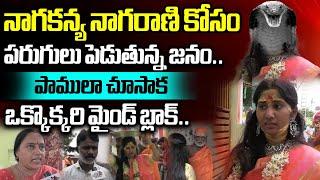 Public Shocking Reaction After Watcing Snake Girl Nagarani Bhavitha | Guntur Temple | Wild Wolf