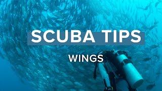 Wings | Top Tips | @simplyscuba