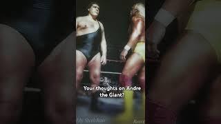 What did you think about Andre the Giant