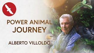 Power Animal Journey