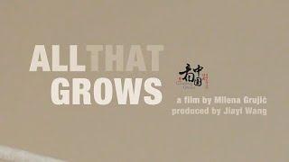 Looking China 看中国《百花齐放 All that blooms》丨美国城市卫视