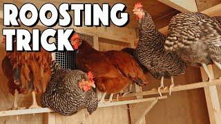 Chicken Roosting Bars Ideas To Help Your Flock Roost | Special Trick That SAVED Us!