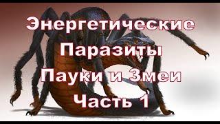 Энергетические  паразиты: Пауки и Змеи. Часть 1