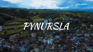 PYNURSLA 