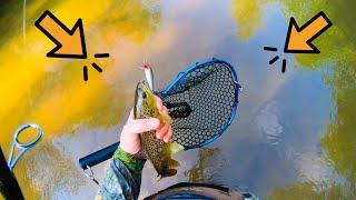 Trout Fishing in Wisconsin at the Eau Galle River - Dunn County