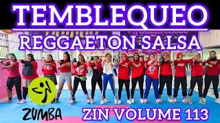 ZIN 113 TEMBLEQUEO - REGGAETON - SALSA - ZIN VOLUME 113 - ZUMBA WORKOUT - ZUMBA @AdindaAeroZumba