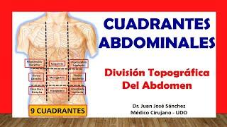  TOPOGRAPHIC DIVISION OF THE ABDOMEN, (Abdominal Quadrants). Easy and simple