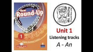 Round up 1 - unit 1 - A -An