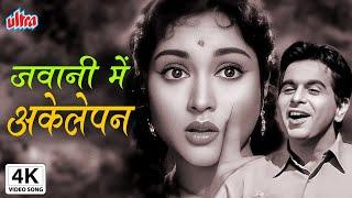 4K जवानी में अकेलेपन | Jawani Mein Akelepan | Paigham | Dilip Kumar, Vyjayanthimala | Mohammed Rafi